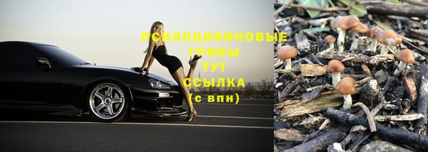 MESCALINE Нефтекумск