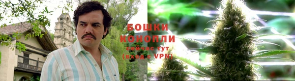 MESCALINE Нефтекумск