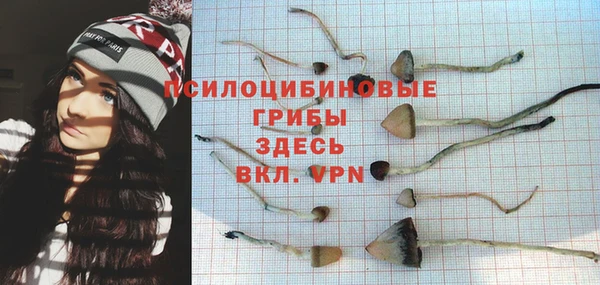 2c-b Коряжма