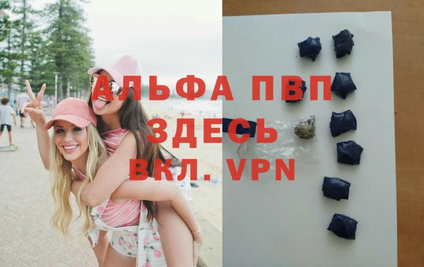ALPHA PVP Новозыбков