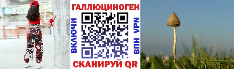 ссылка на мегу рабочий сайт  Колпашево  Псилоцибиновые грибы Cubensis 