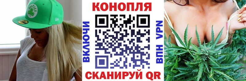 Шишки марихуана индика закладка Колпашево